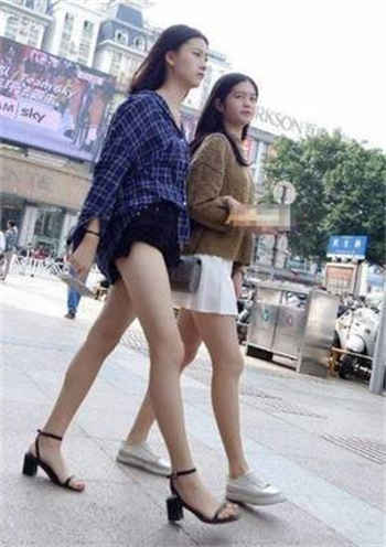 artofzoo是什么意思啊