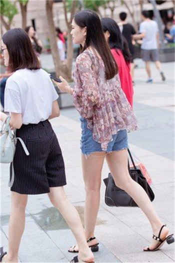 圣枪修女樱花动漫