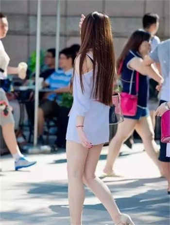 扦插的过程图片