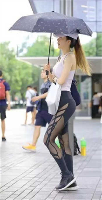 白虎网站在线观看