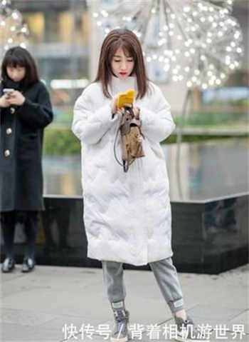 菊花免费下载安装